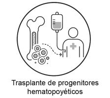 icono-hematologia-5